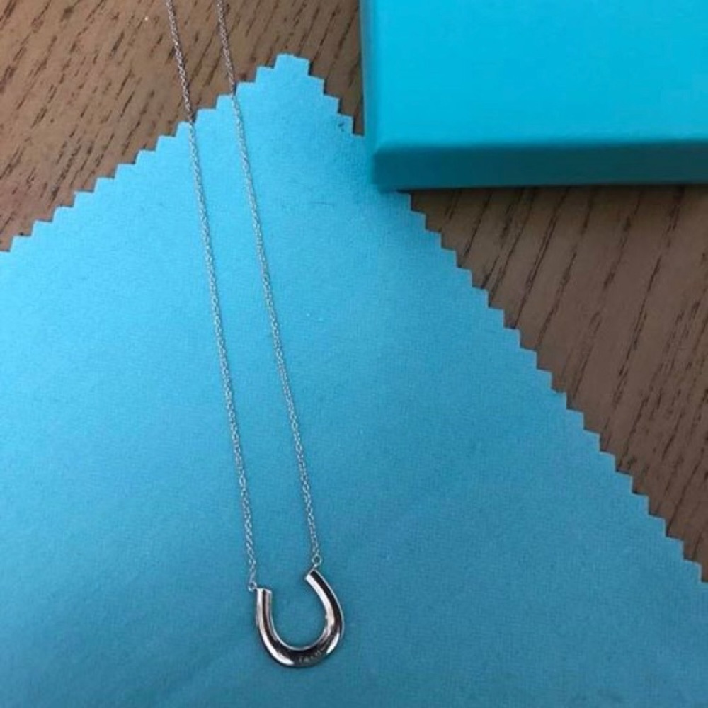 Authentic Tiffany & Co horseshoe necklace